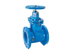Watts 0700107 Gate valve with handwheel
