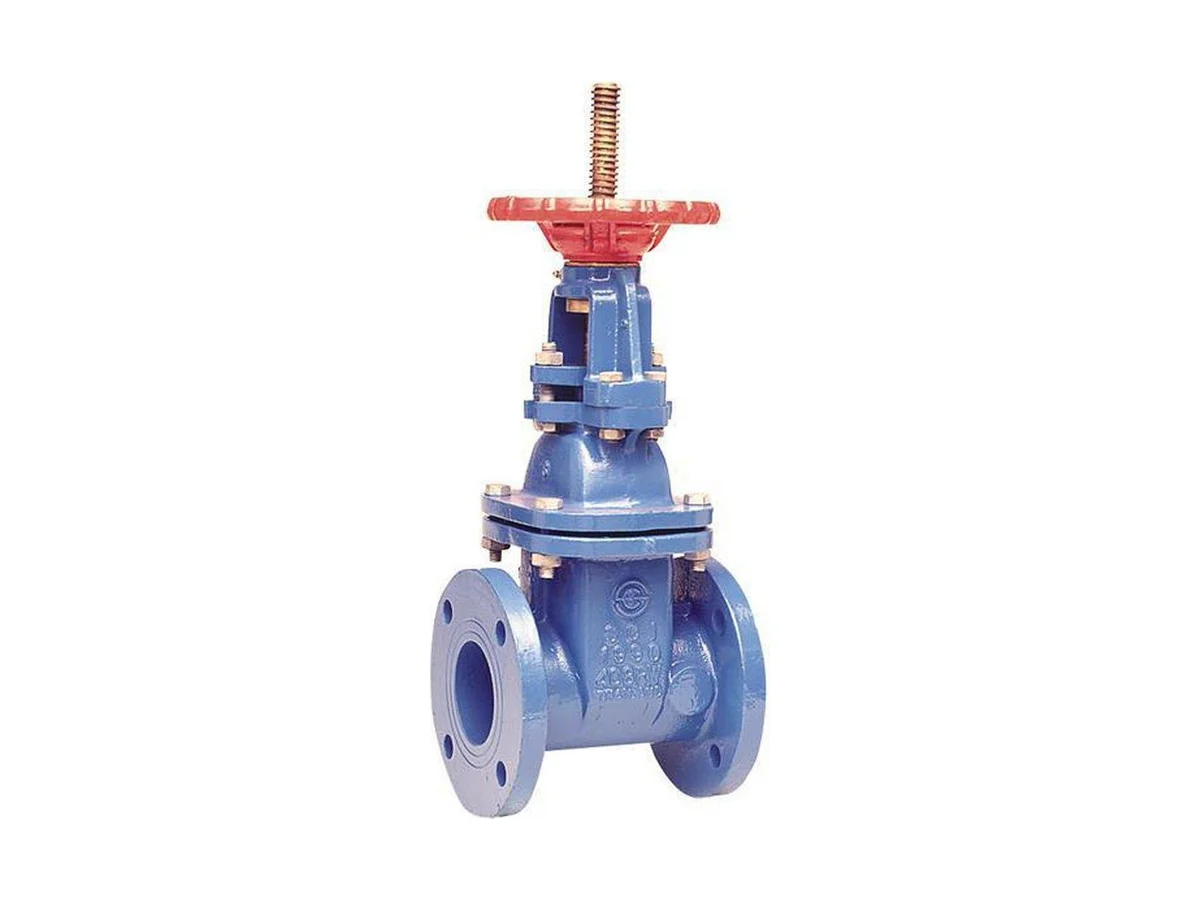 Watts 0702315 Resilient wedge gate valve