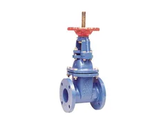 Watts 0702315 Resilient wedge gate valve