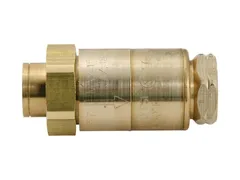 Watts 0792076 Fpt dual check valve