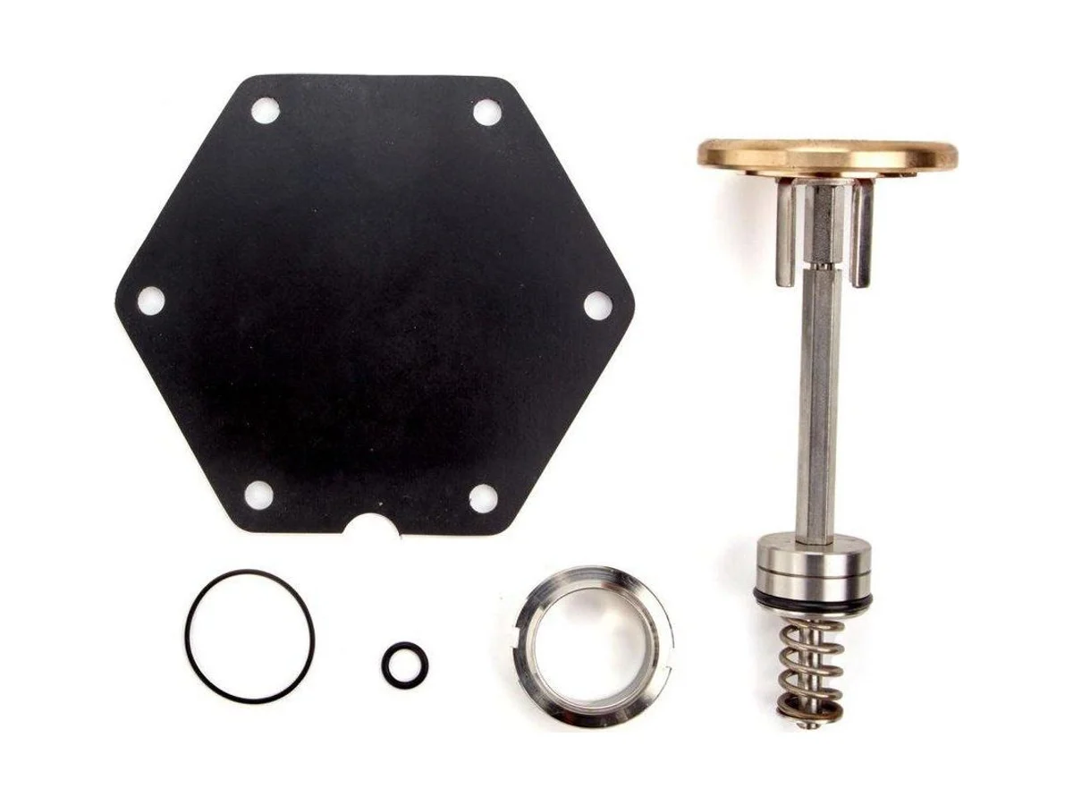 Watts 0794115 Iron valve repair kit