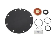 Watts 0794150 Parts valve repair kit
