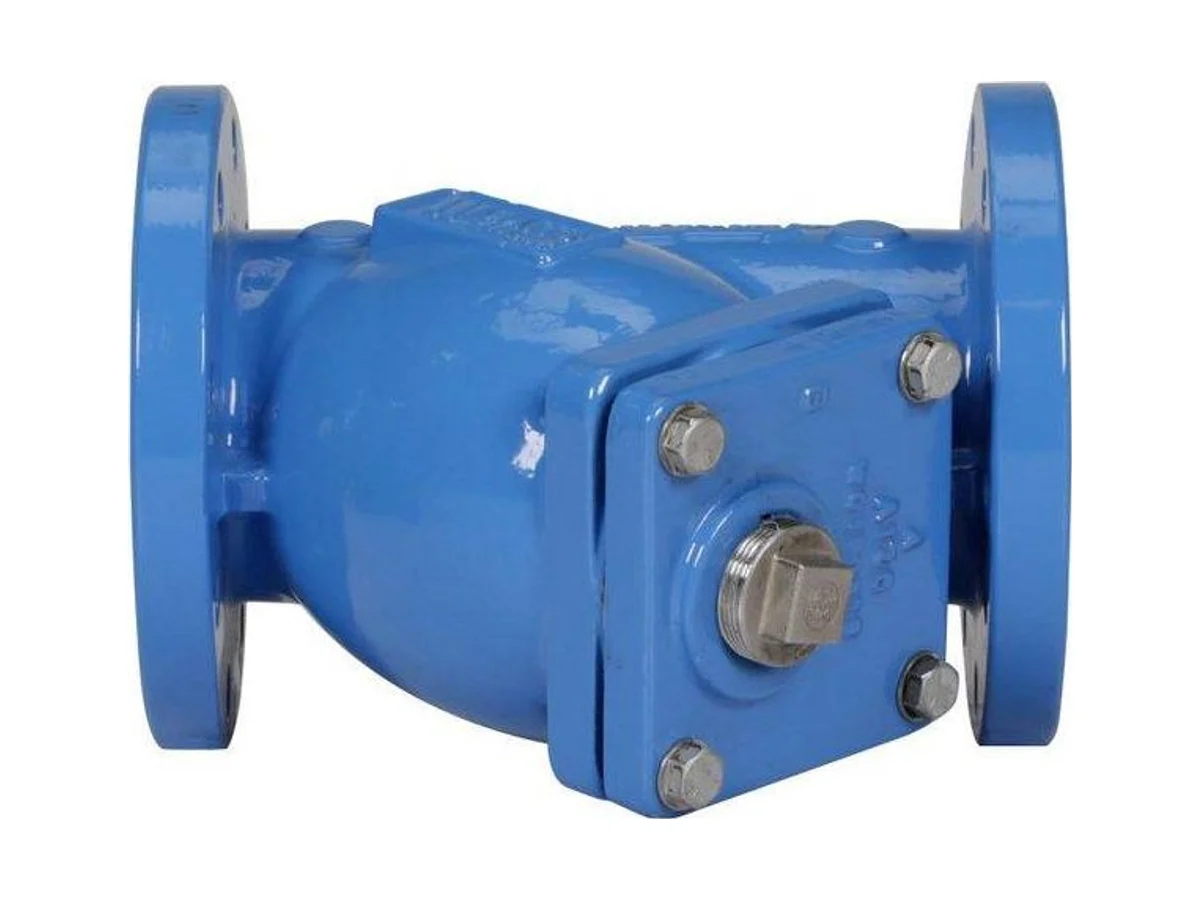 Watts 0825209 Cast iron flanged strainer