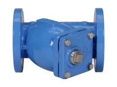 Watts 0825209 Cast iron flanged strainer
