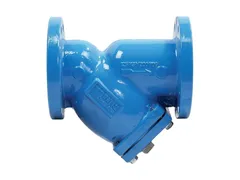 Watts 0825210 Epoxy coating flanged strainer