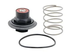 Watts 0888130 Relief valve repair kit