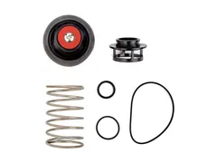 Watts 0888132 Valve repair kit