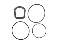 Watts 0899220 E-clip and o-ring