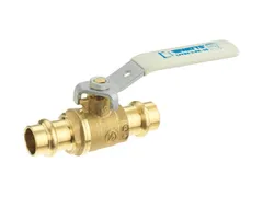 Watts 88007794 Steel ball and stem