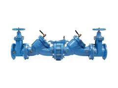 Watts 88009311 Iron flanged backflow preventer