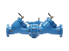 Watts 88009316 Iron flanged backflow preventer
