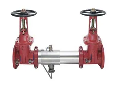 Watts F111615 Reduced pressure zone assembly