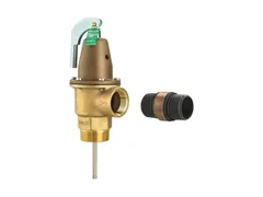 Watts F352478 Line flood sensor included