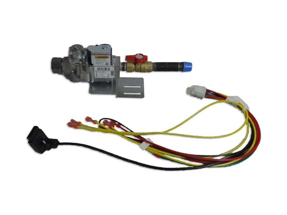 Weil-McLain 382200410 Hydronic gas valve