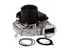 Weil-McLain 383900039 Evergreen