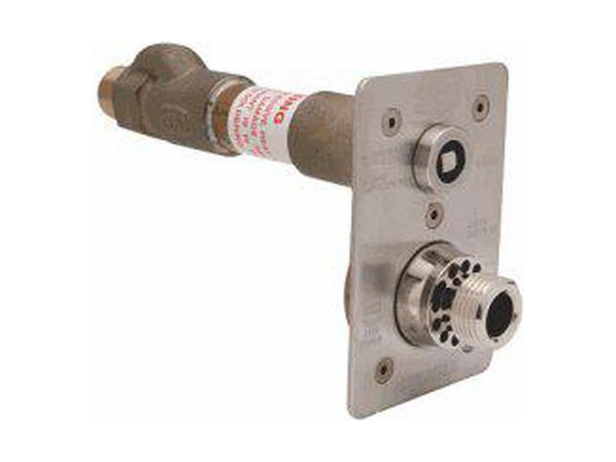 Zurn Ecolotrol Z1321XL-3/4X8 X ght wall hydrant