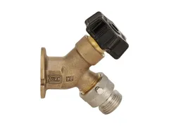 Zurn Z1341XL-P34 Wall faucet